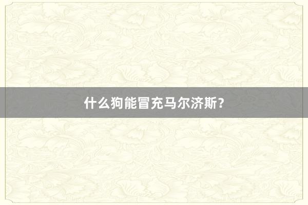 什么狗能冒充马尔济斯？